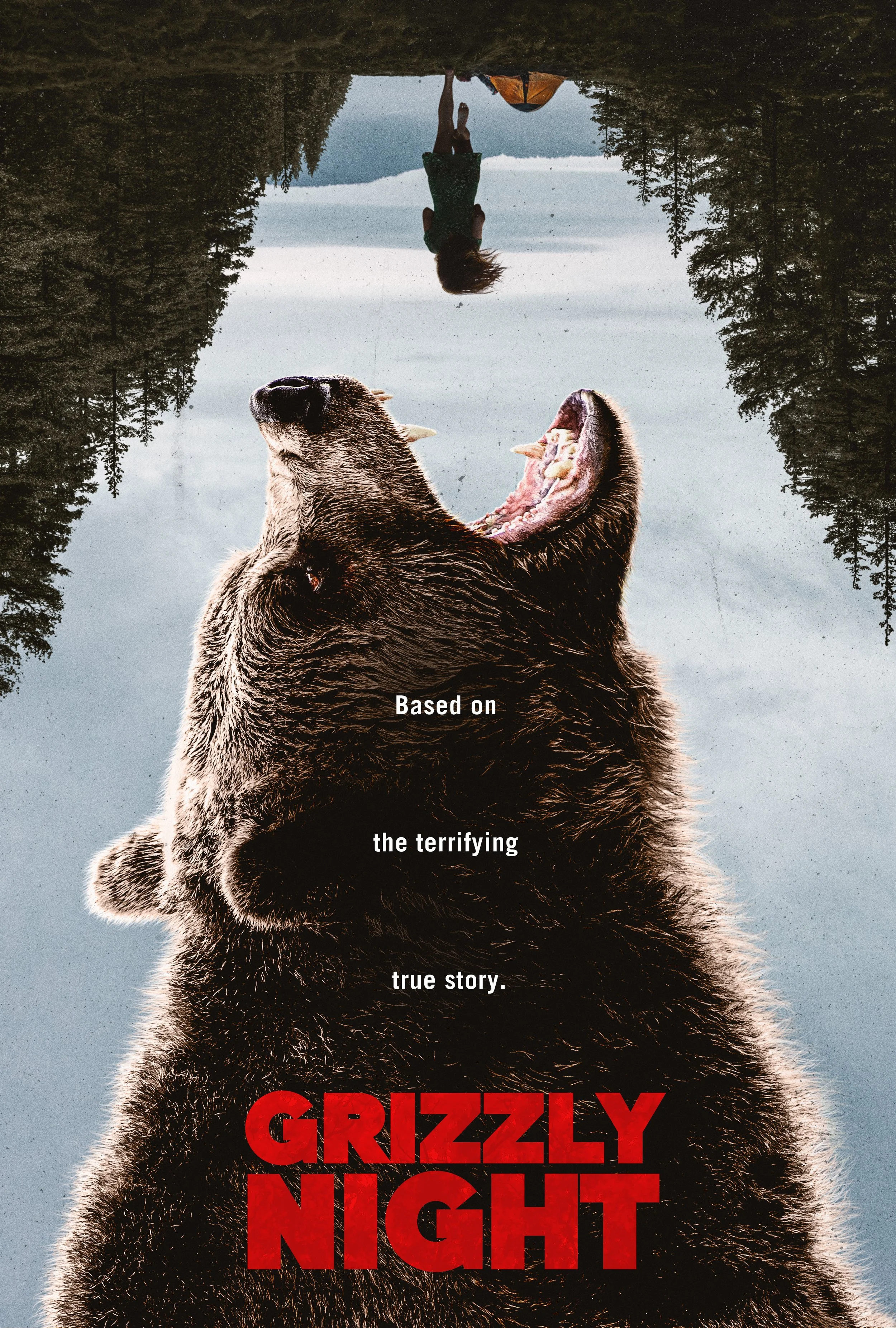 Grizzly_Night_2764x4096_017_v1.jpg