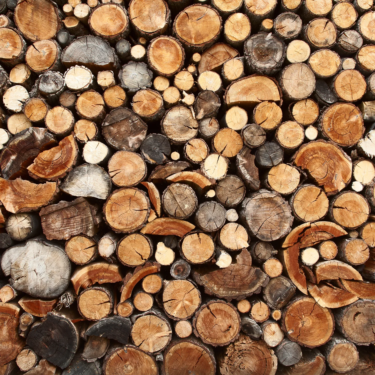 AdobeStock_44627391.jpg