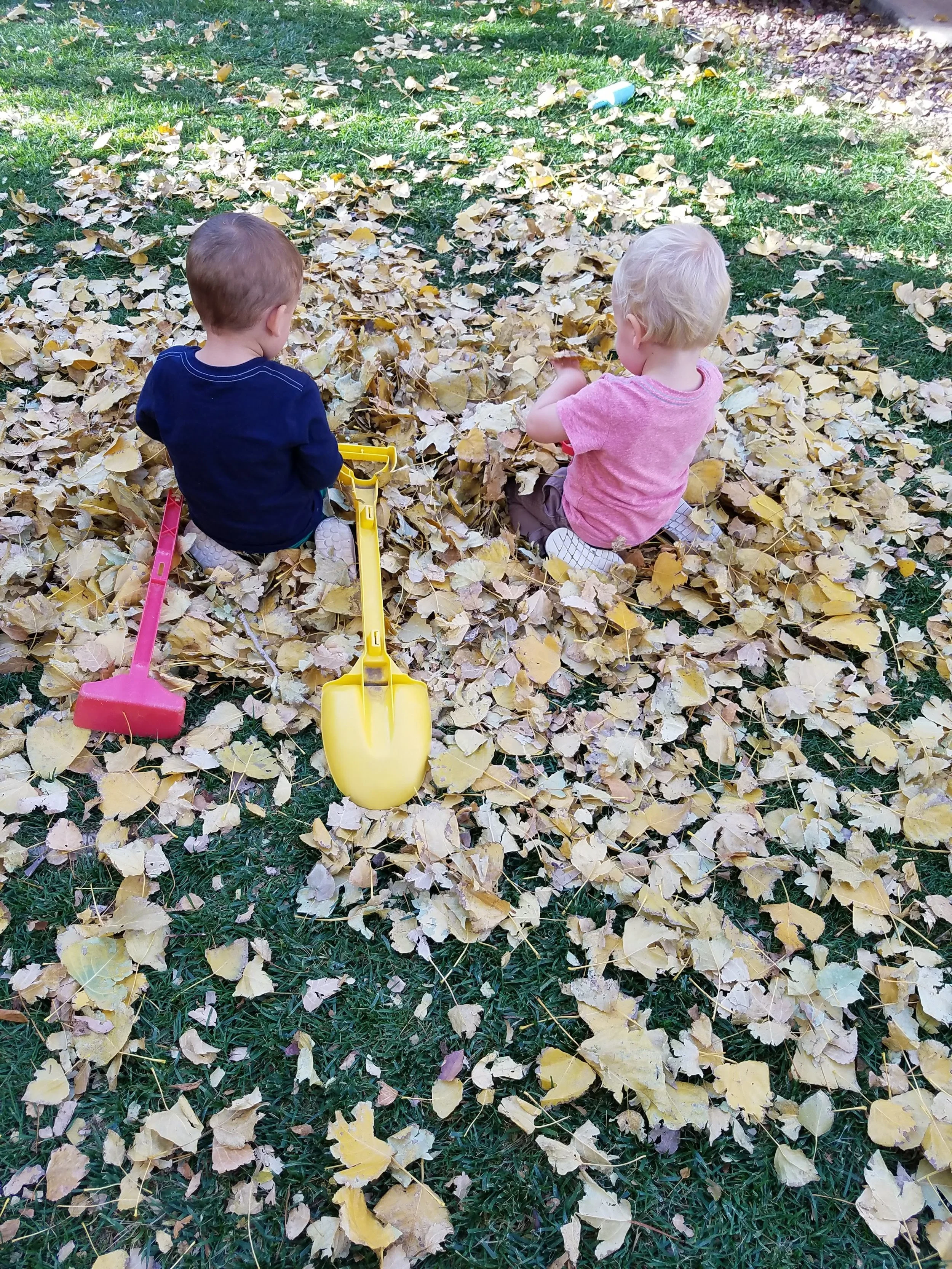 20171020_163445.jpg
