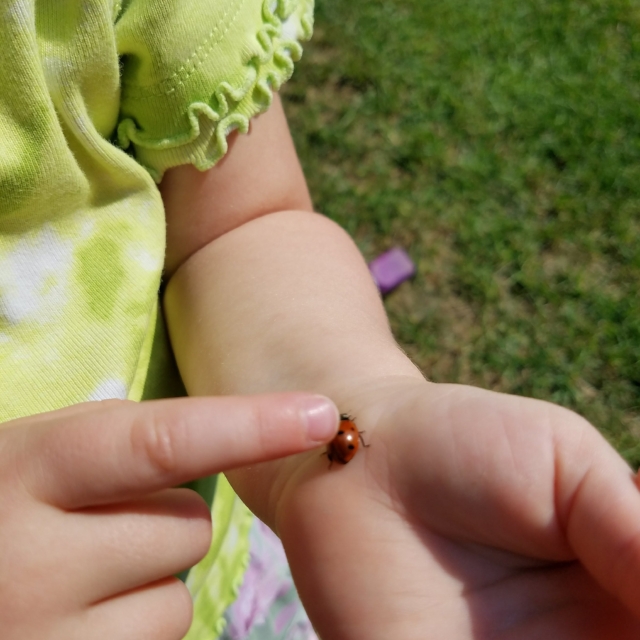  ...the very first time a ladybug landed on you? 