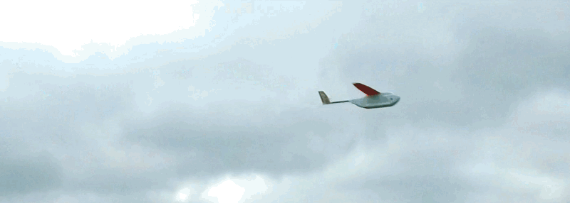 zipline-delivery.0.gif