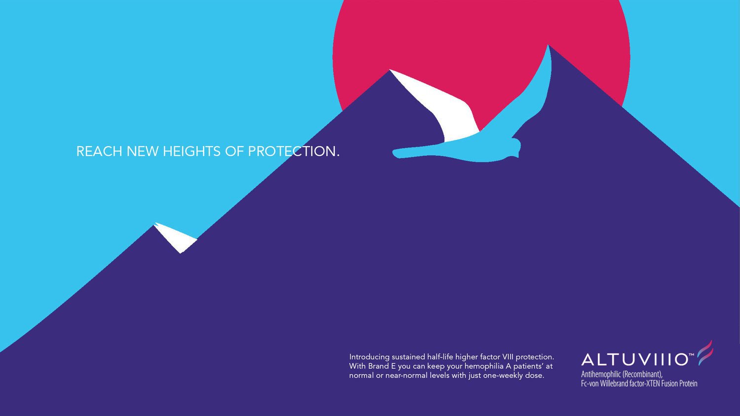 HEMO_BOOK+ADS2 copy.jpg