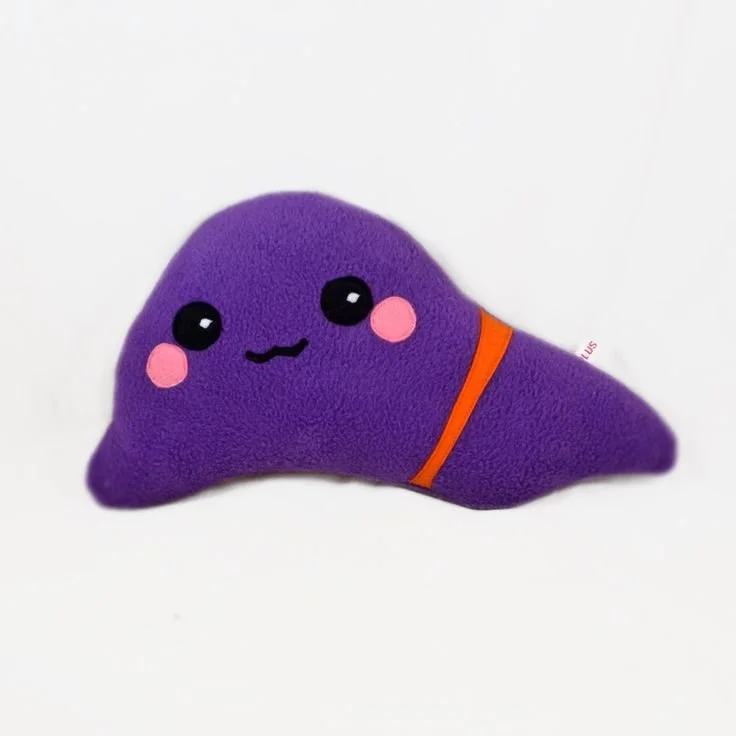 f9996f97d801f9a480ff148cec54f950--pillow-inspiration-plush.jpg