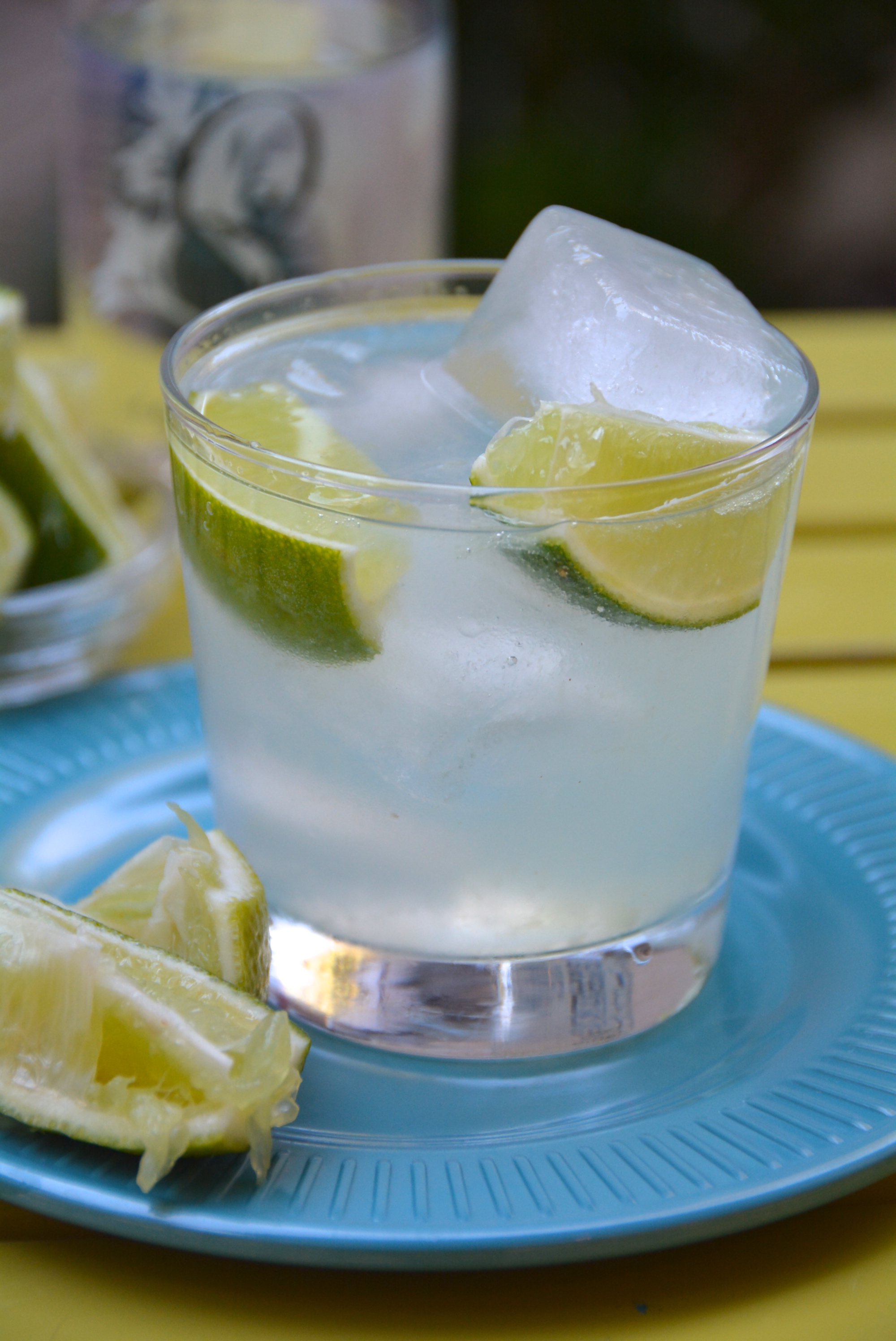 Gin and Tonic