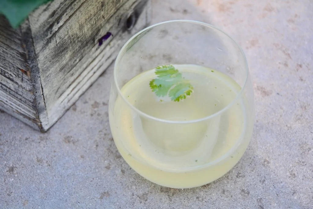 Tequila-Cilantro_5-1024x684.jpg