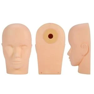 04026 - Practice Head