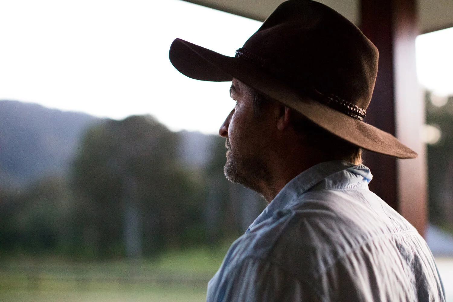 QLD GOV - BIOSECURITY REGISTRATION 01.jpg