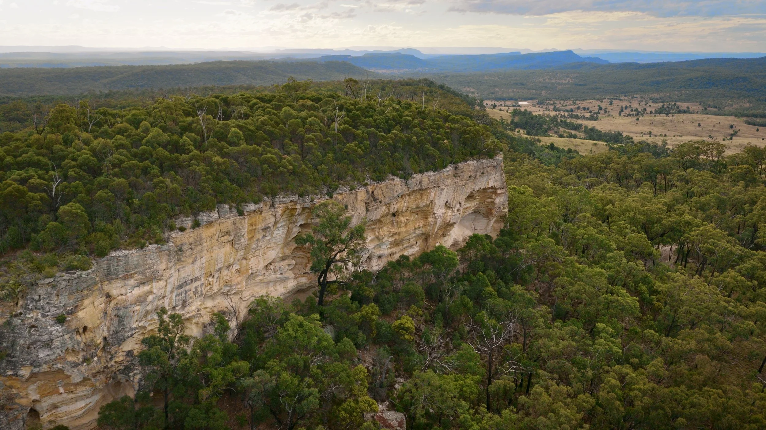 Still 2026-02-18 112340_1.5.1.jpg