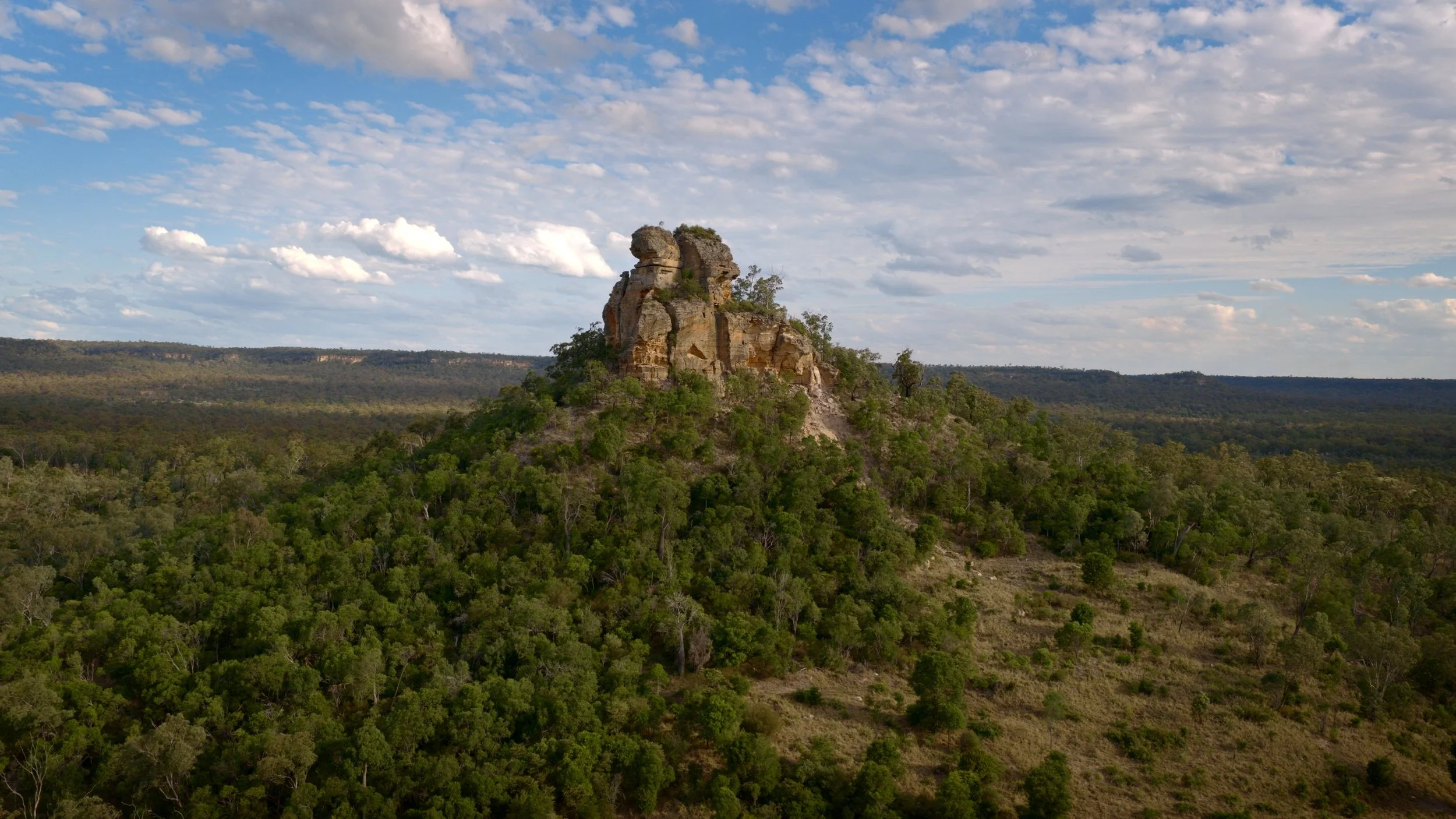 Still 2026-02-18 112340_1.28.1.jpg