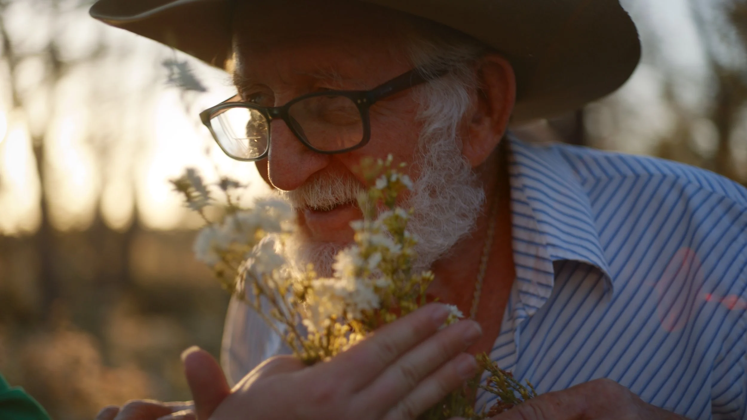 Still 2026-02-18 112340_1.33.1.jpg