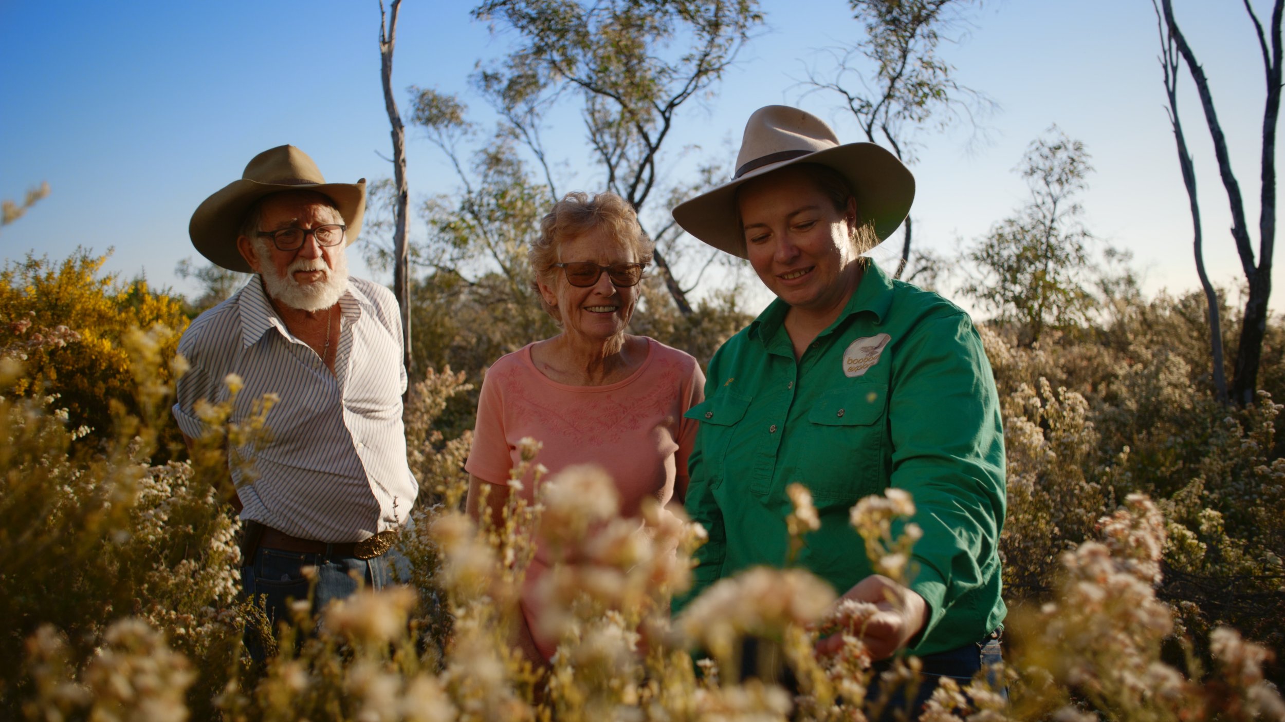 Still 2026-02-18 112340_1.32.1.jpg