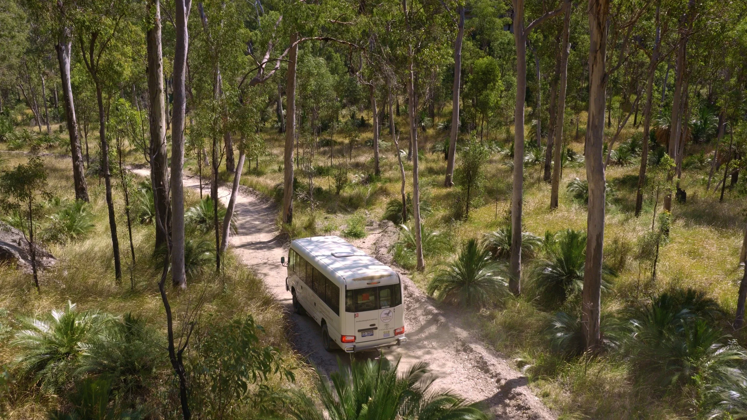 Still 2026-02-18 112340_1.39.1.jpg