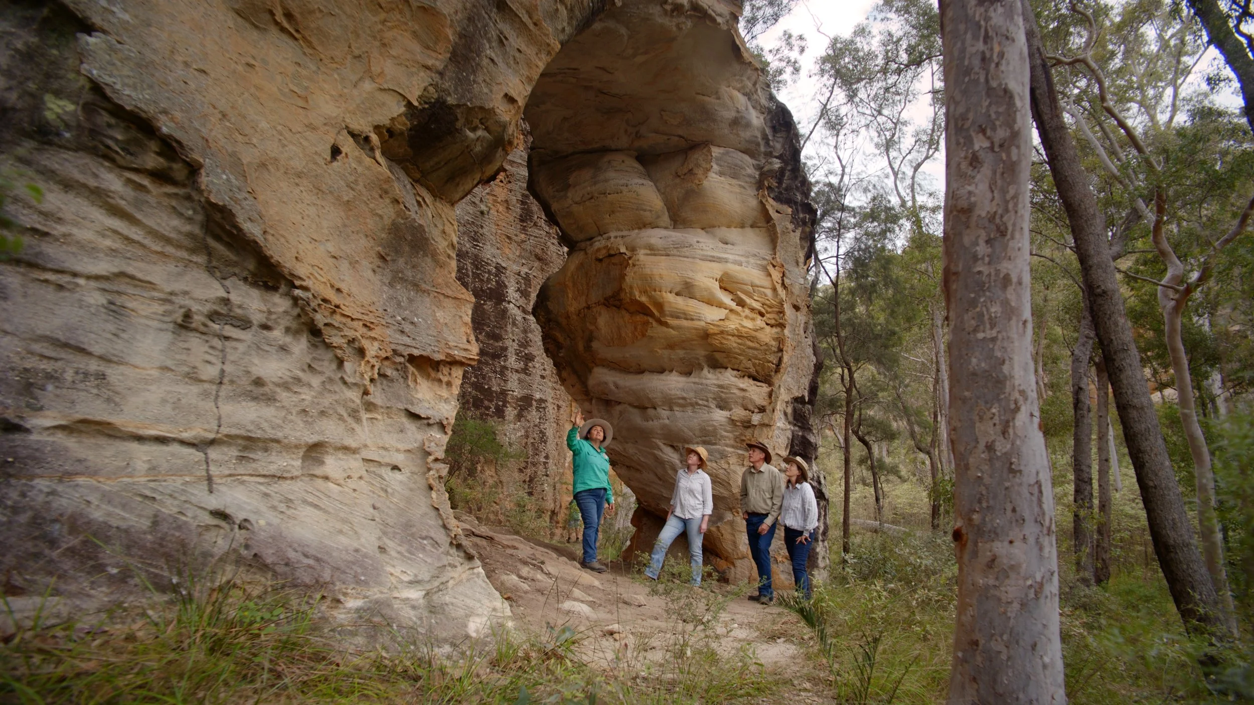 Still 2026-02-18 112340_1.41.1.jpg