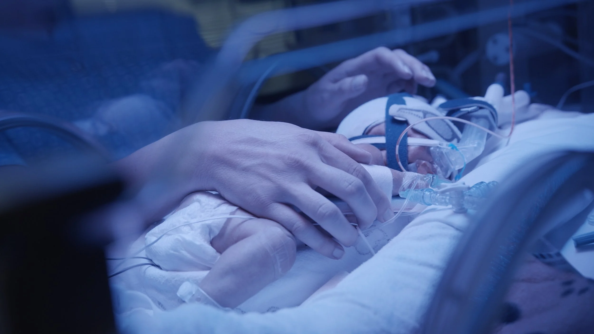 BABY 11.jpg
