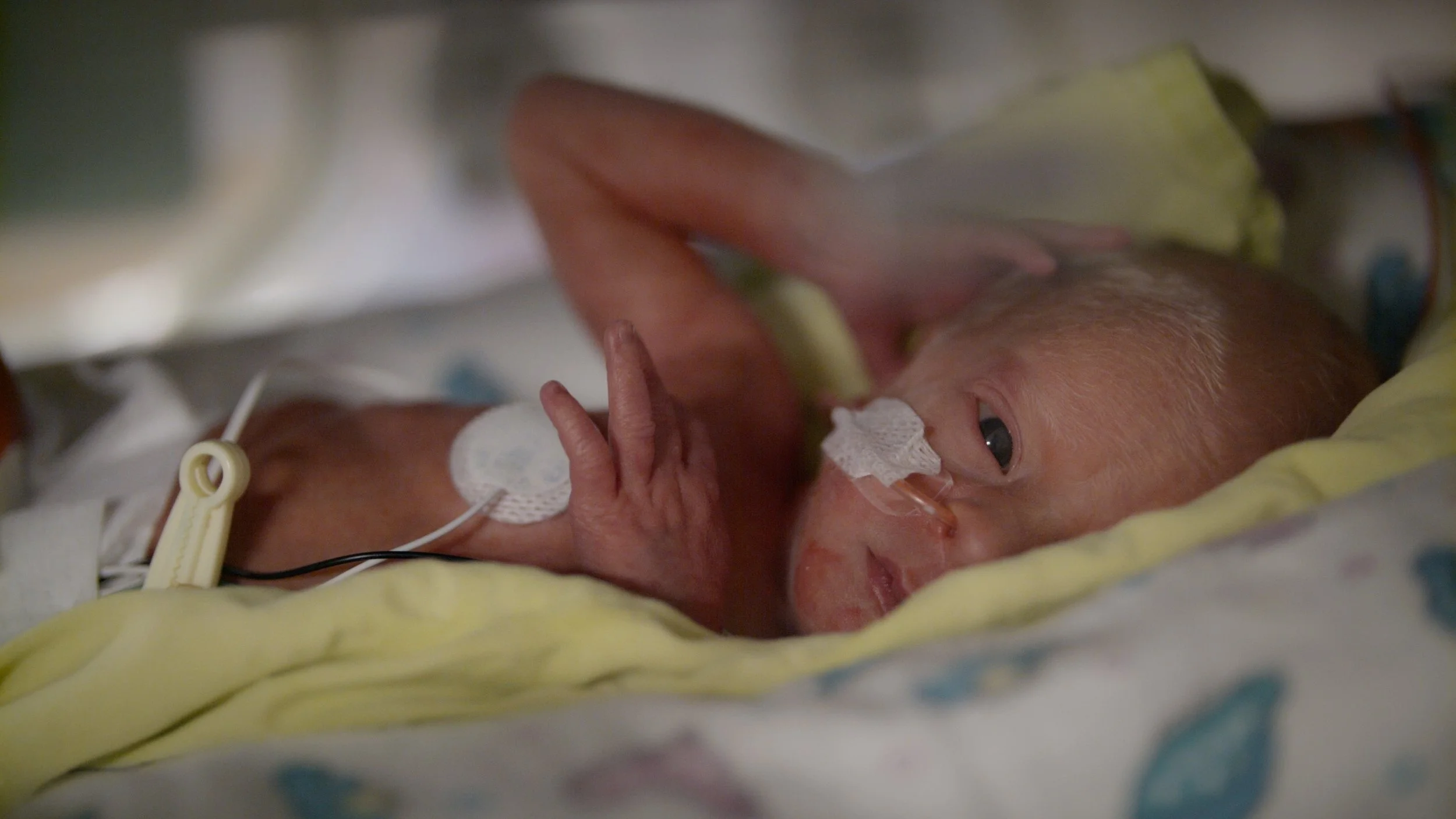BABY 28.jpg