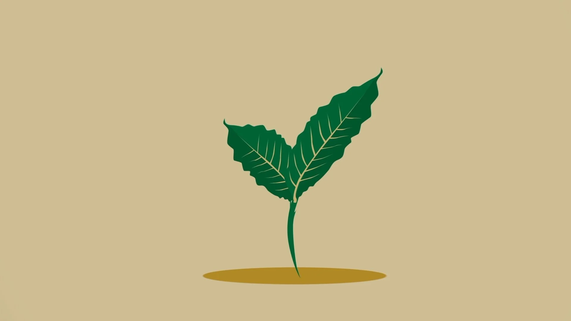 MORE THAN JUST A CUP OF COFFEE - STILL 1.jpg
