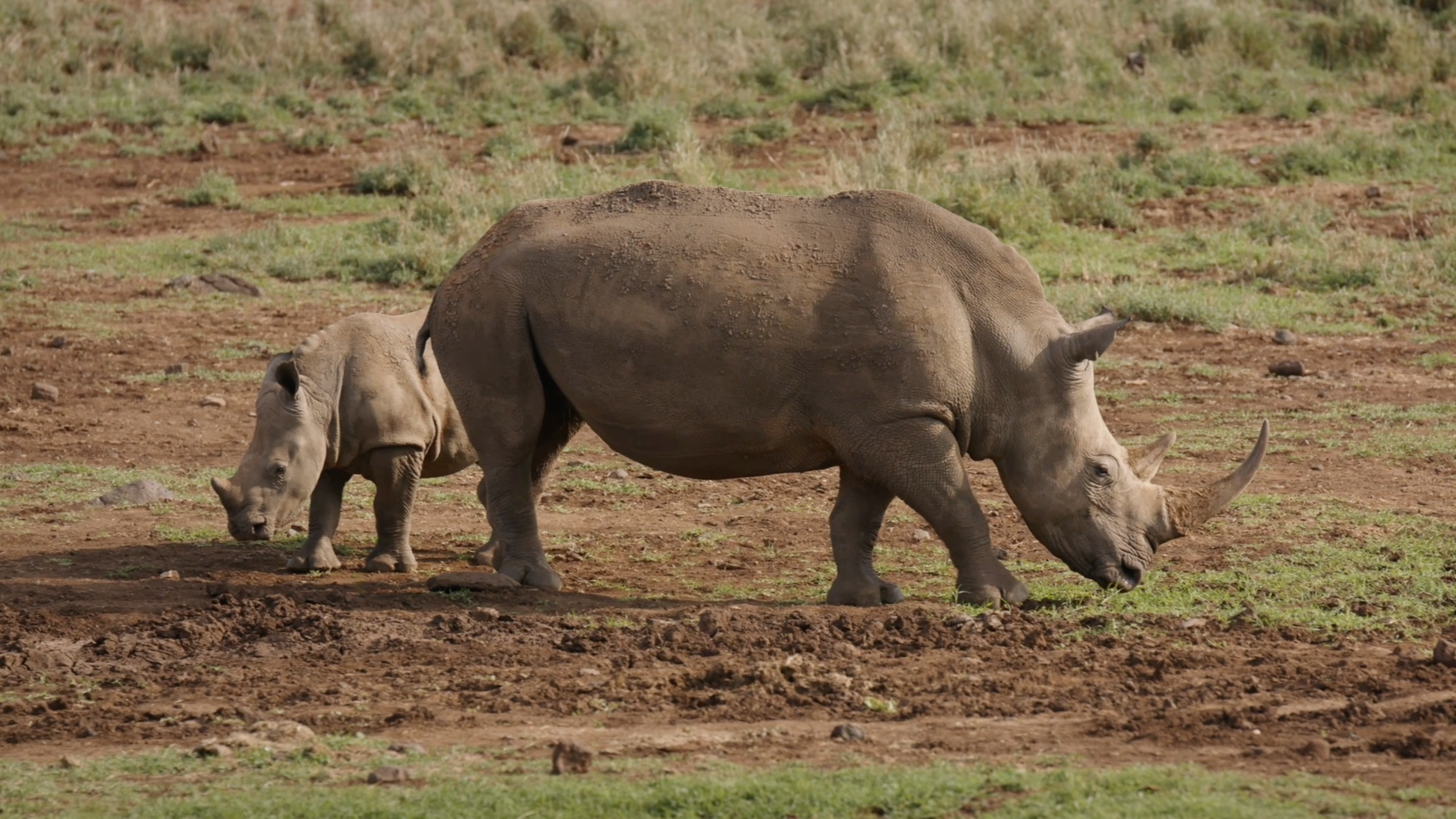 Screenshot 2026-04-17 at 9.57.06 am.png