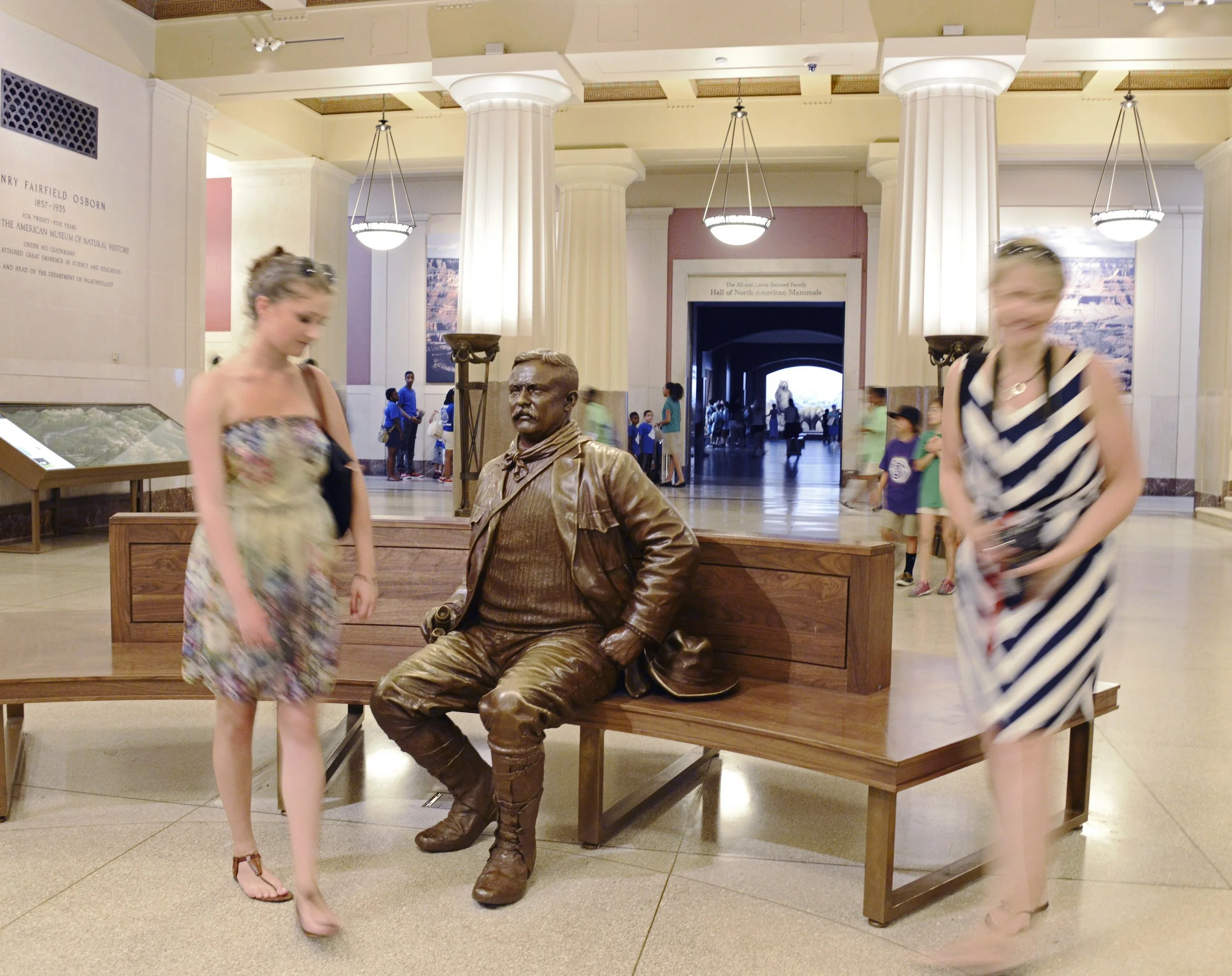 Theodore Roosevelt Memorial Hall - New York, NY