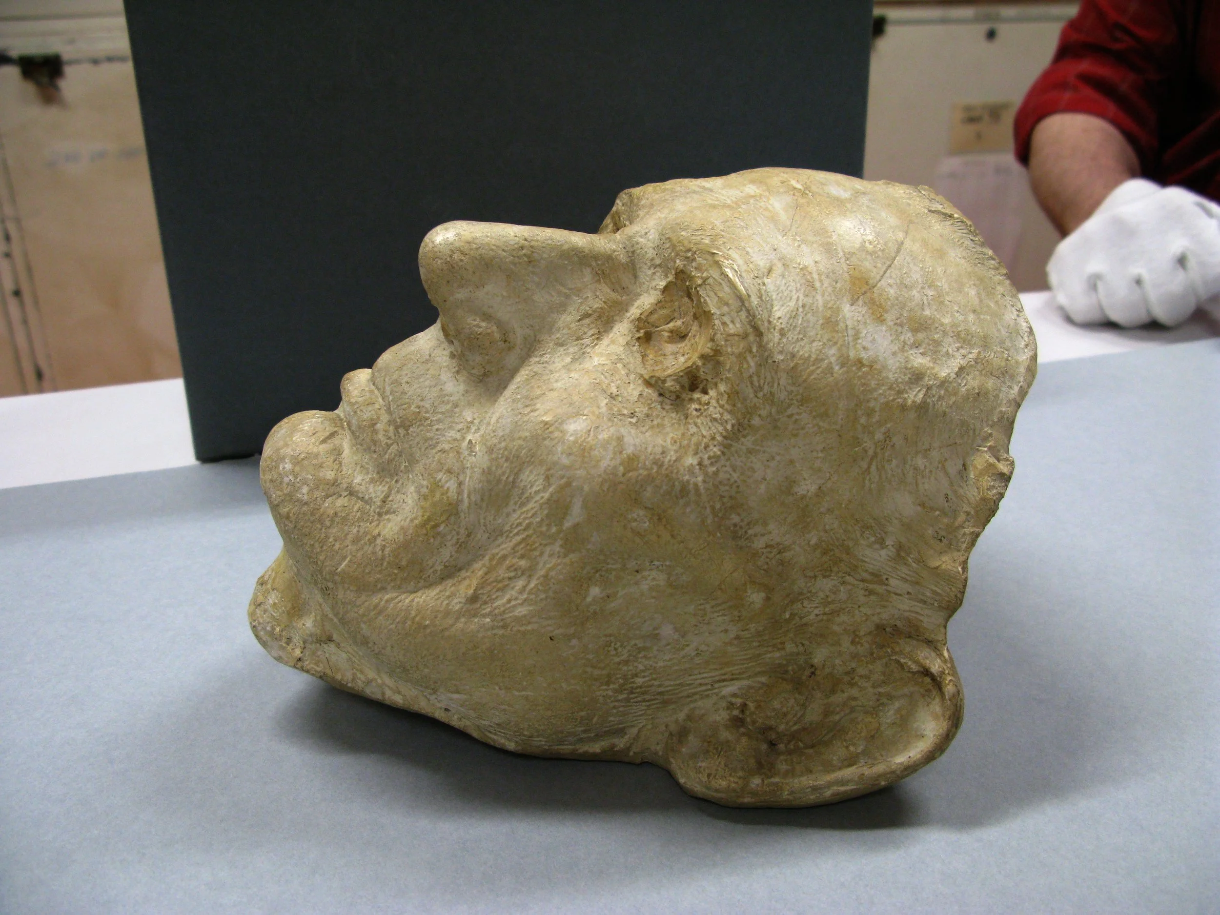 Head cast.JPG