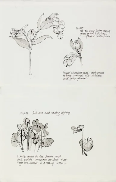 Plant diary III