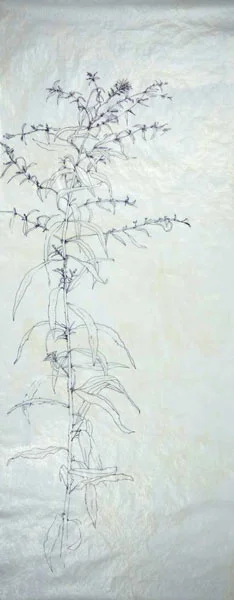 Vermont roadside weeds 3