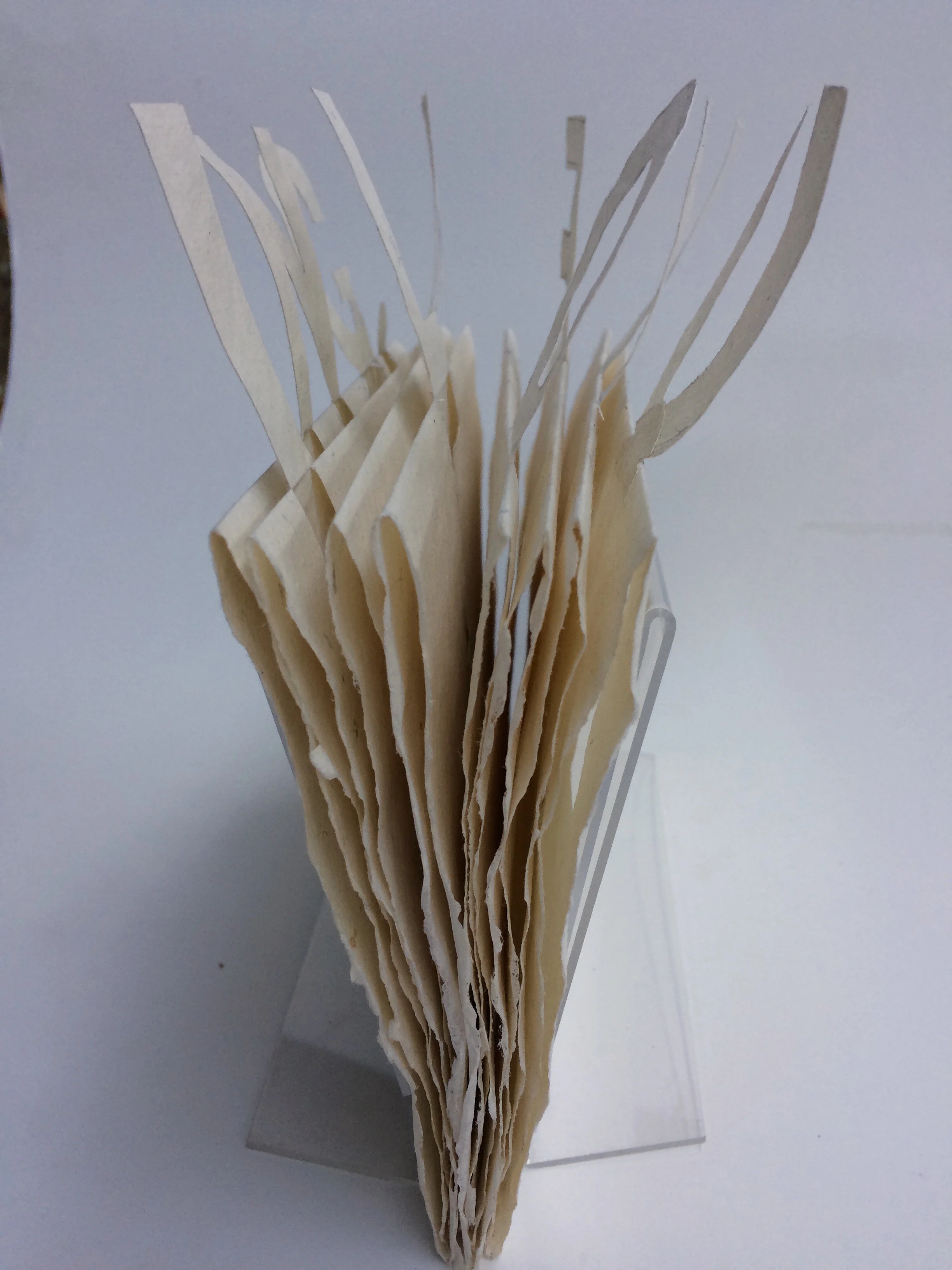 08unfolding_artist book2020.jpg