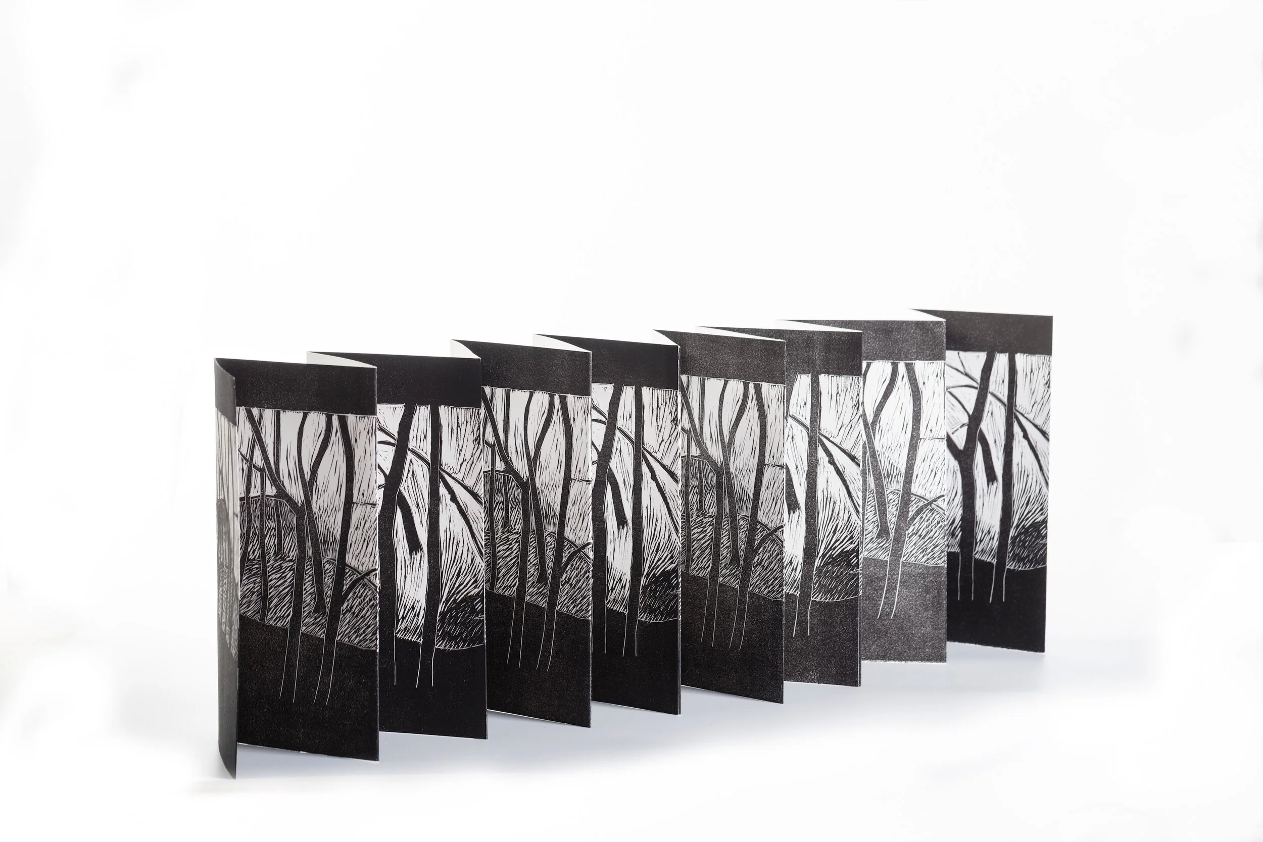 01Behind the Beach concertina book.jpeg