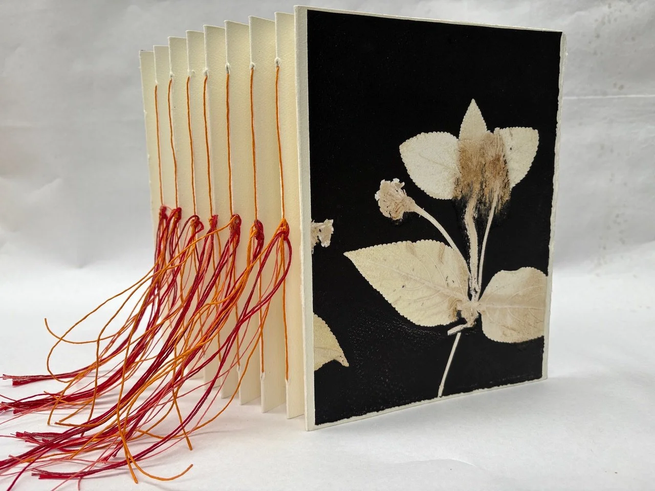 1Jeneid:Liz_lantana 2 artist book copy 3.jpeg