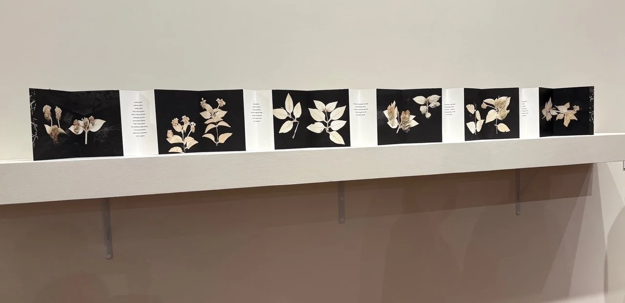 3LANTANA 1 Artist book copy 3.jpeg