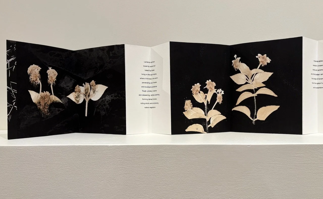 4Lantana 1 detail copy.jpeg