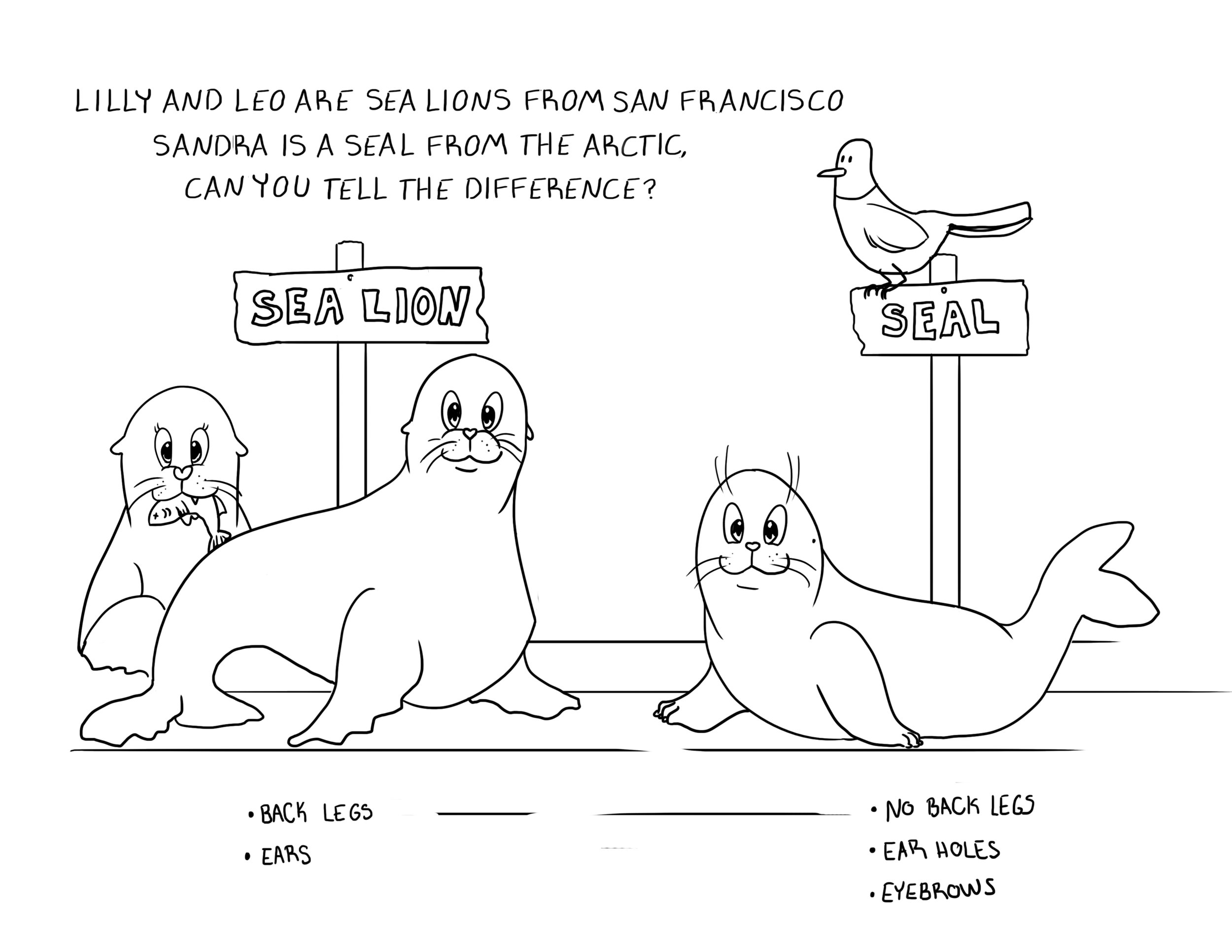 pg6.jpg
