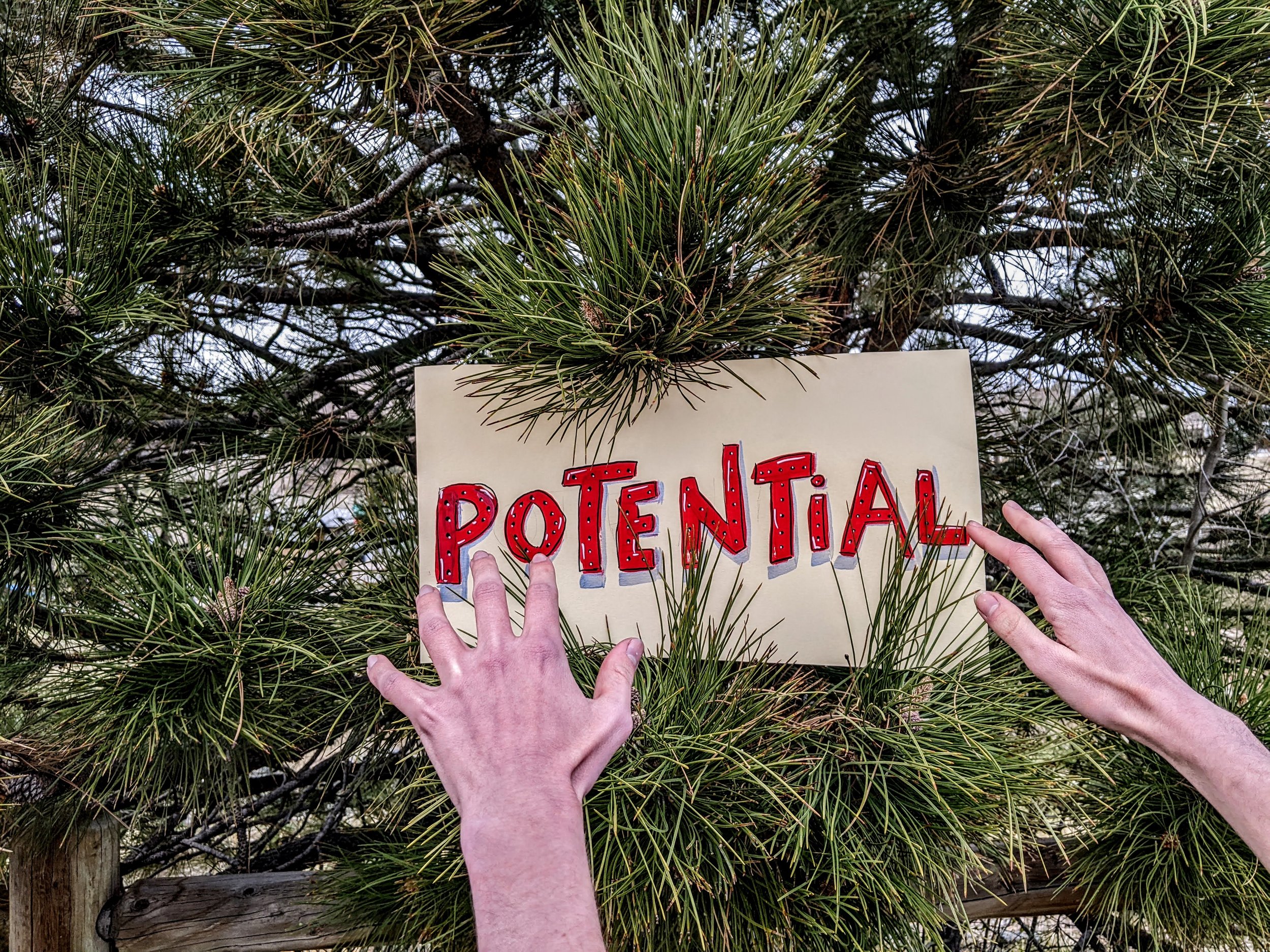 Play With Words- Immersive Theater for Kids at Denver Fringe