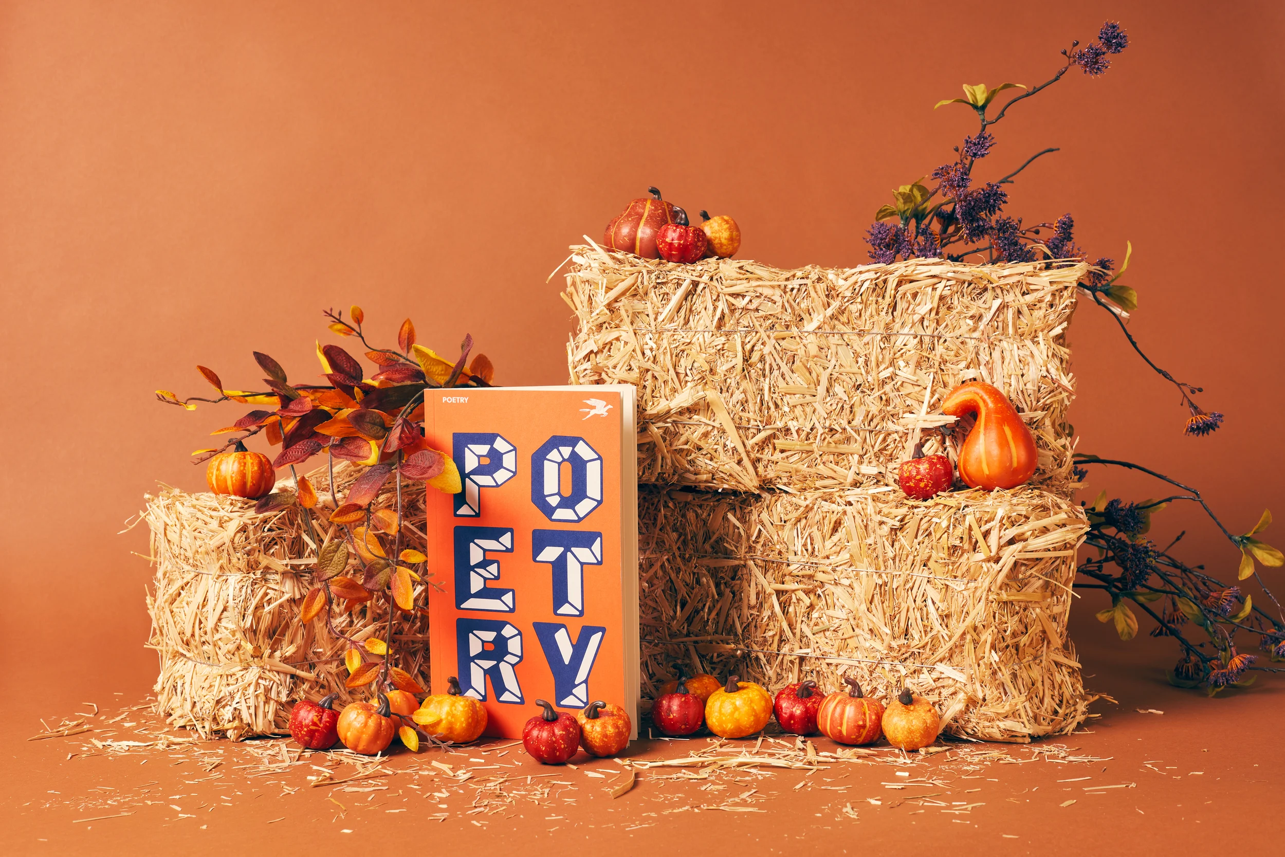 Advertising Campaign for Poetry Foundation