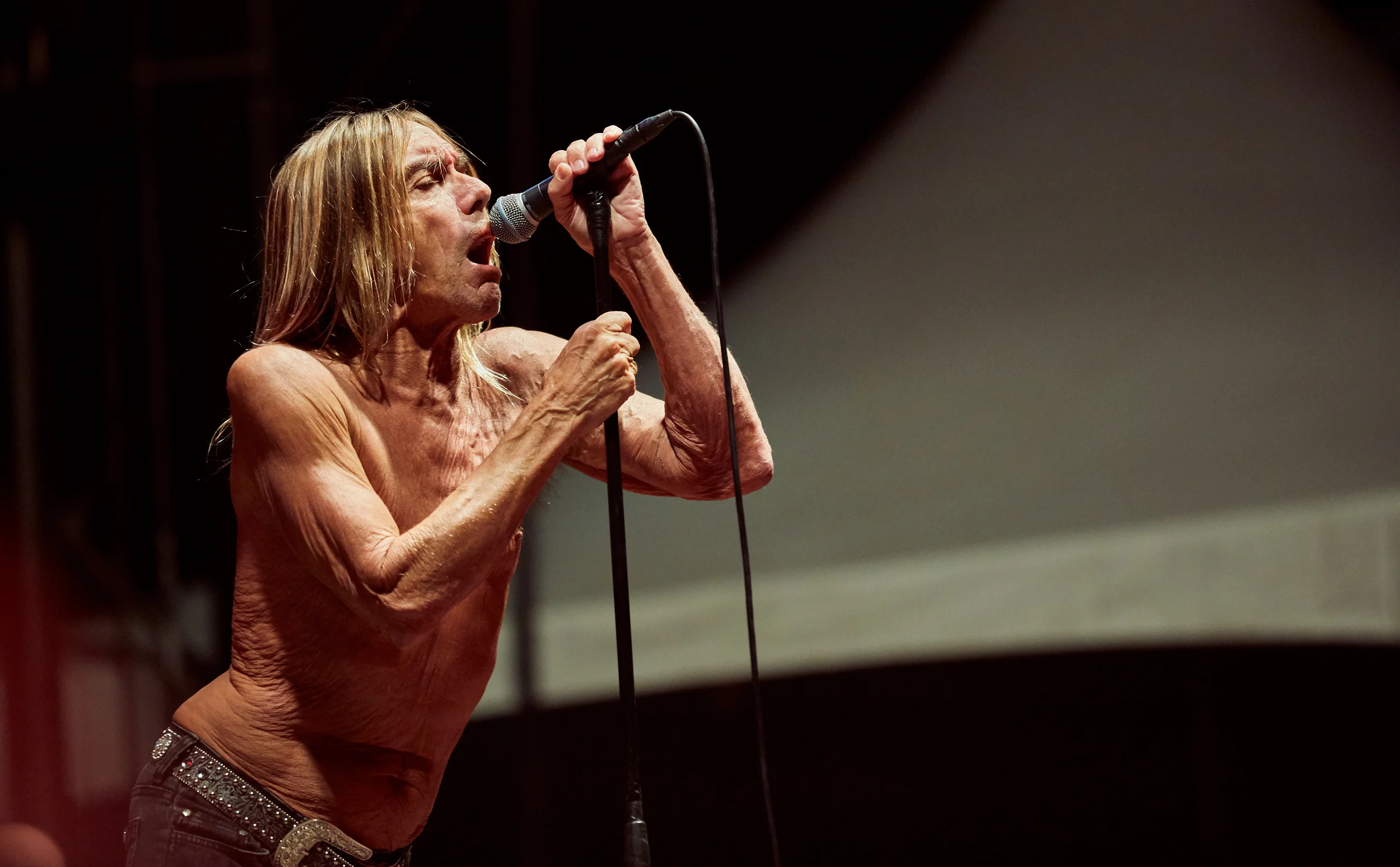 Iggy Pop @ Riot Fest