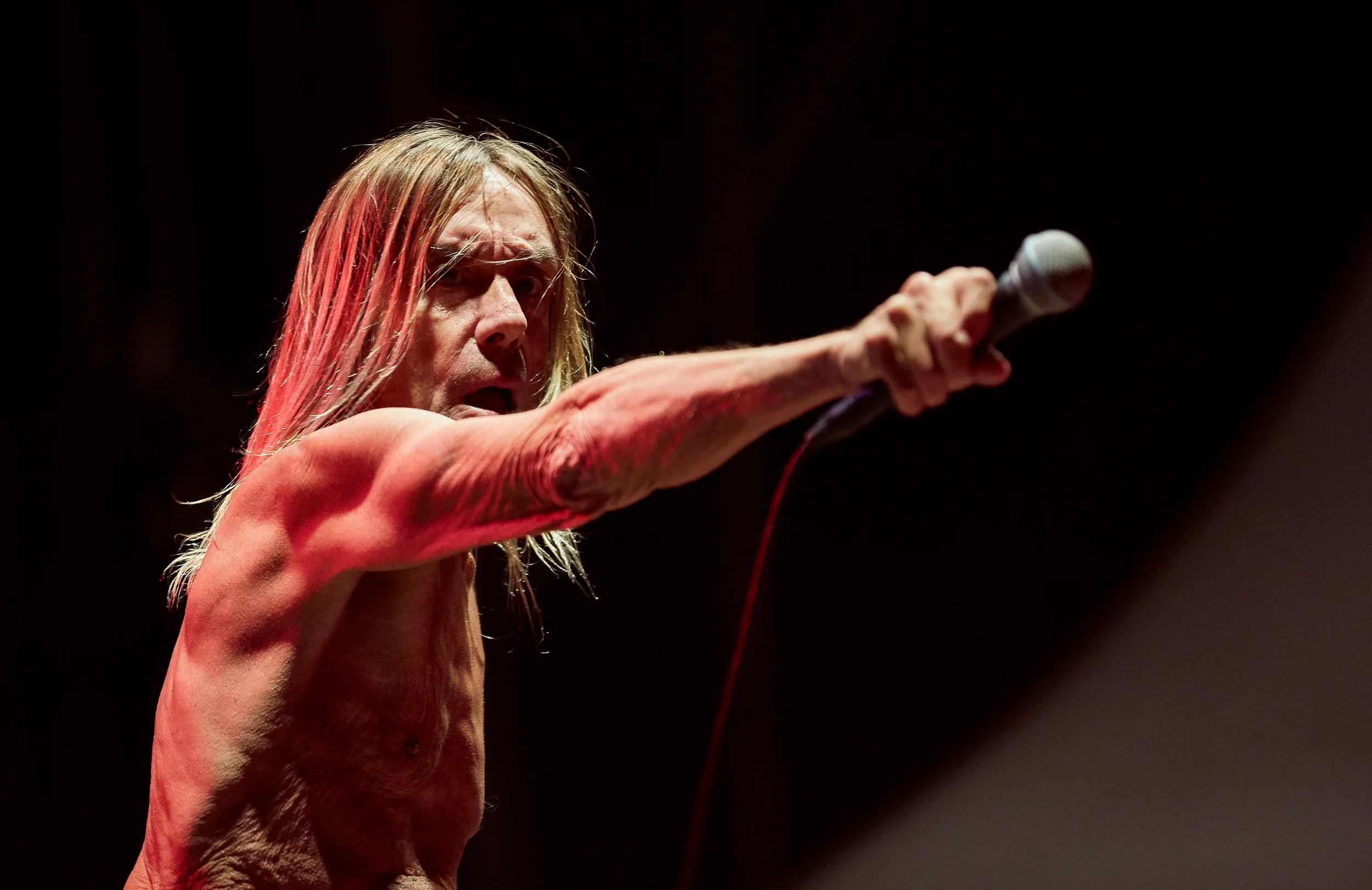 Iggy Pop @ Riot Fest