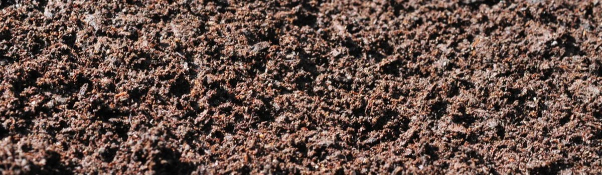 compost_banner_tVCPfZR.jpg.1200x350_q85_crop_upscale.jpg