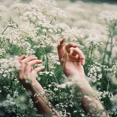 THE BEAUTY OF BREATHING