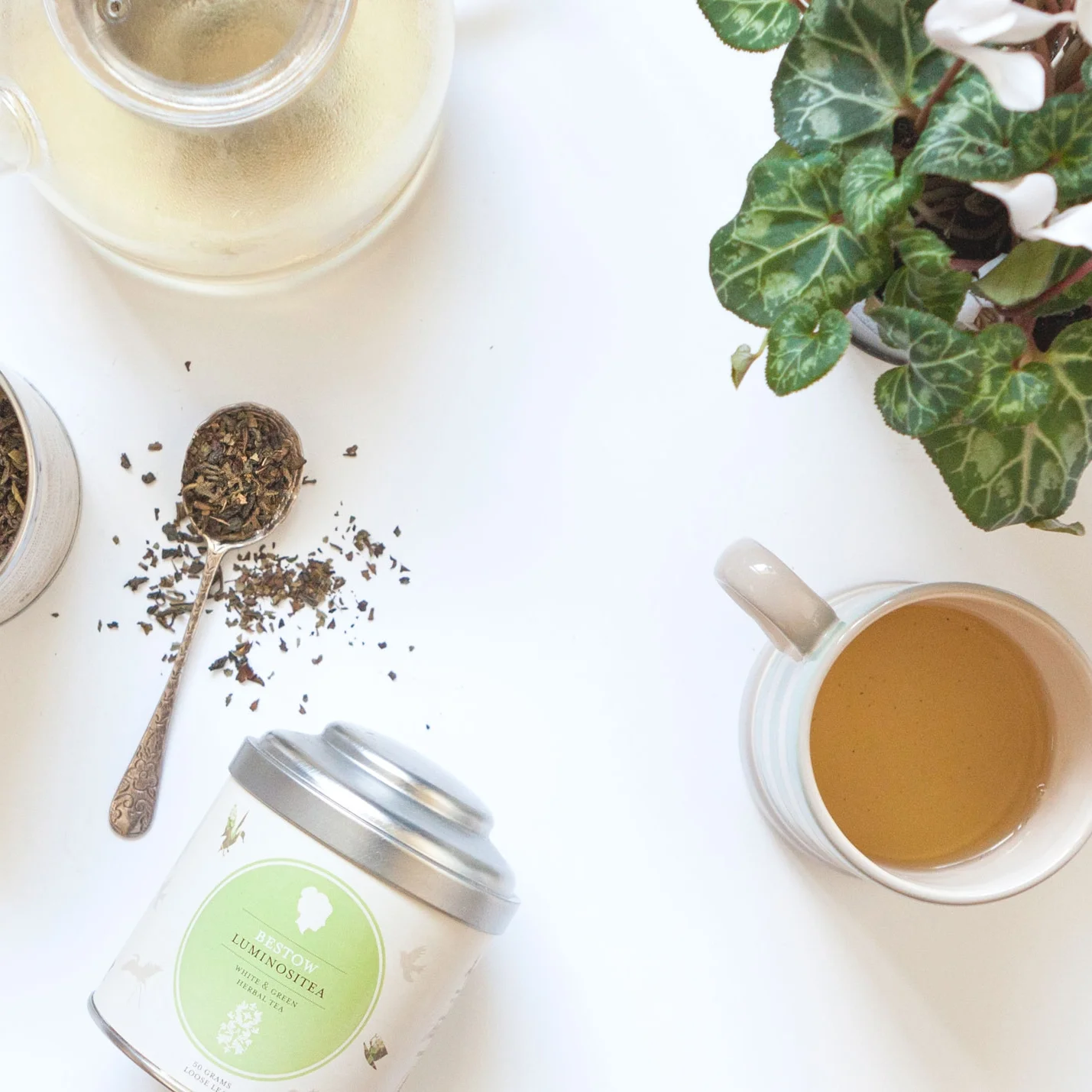 4 THINGS YOU NEED TO KNOW ABOUT GREEN TEA