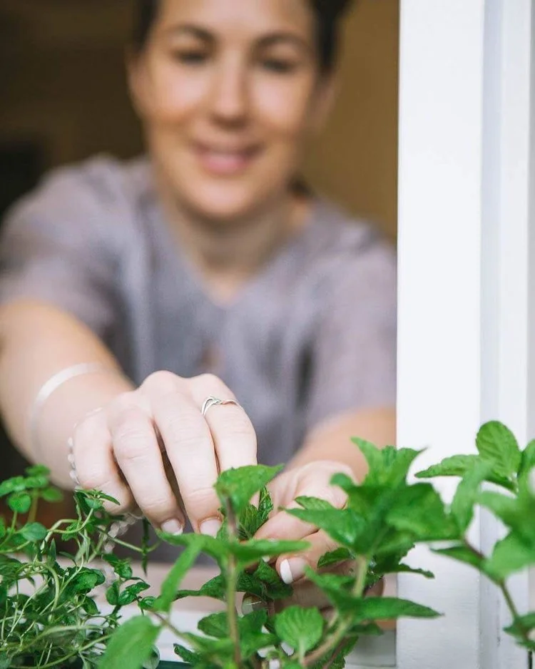 LIVING MICROBES | THE NATURAL PROBIOTIC SOURCE YOU HAVE PROBABLY OVERLOOKED