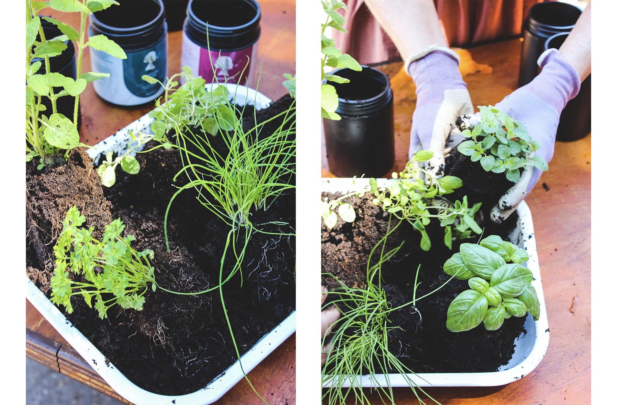Bestow-Herb-Garden-1.jpg