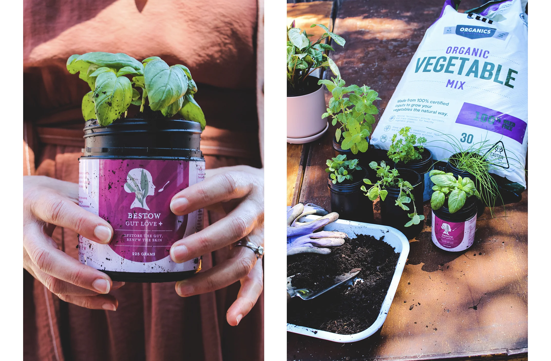 Bestow Indoor Herb Garden