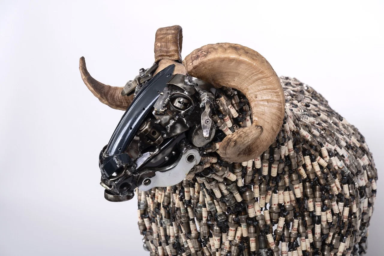"BLACK FACED RAM''    sculpture