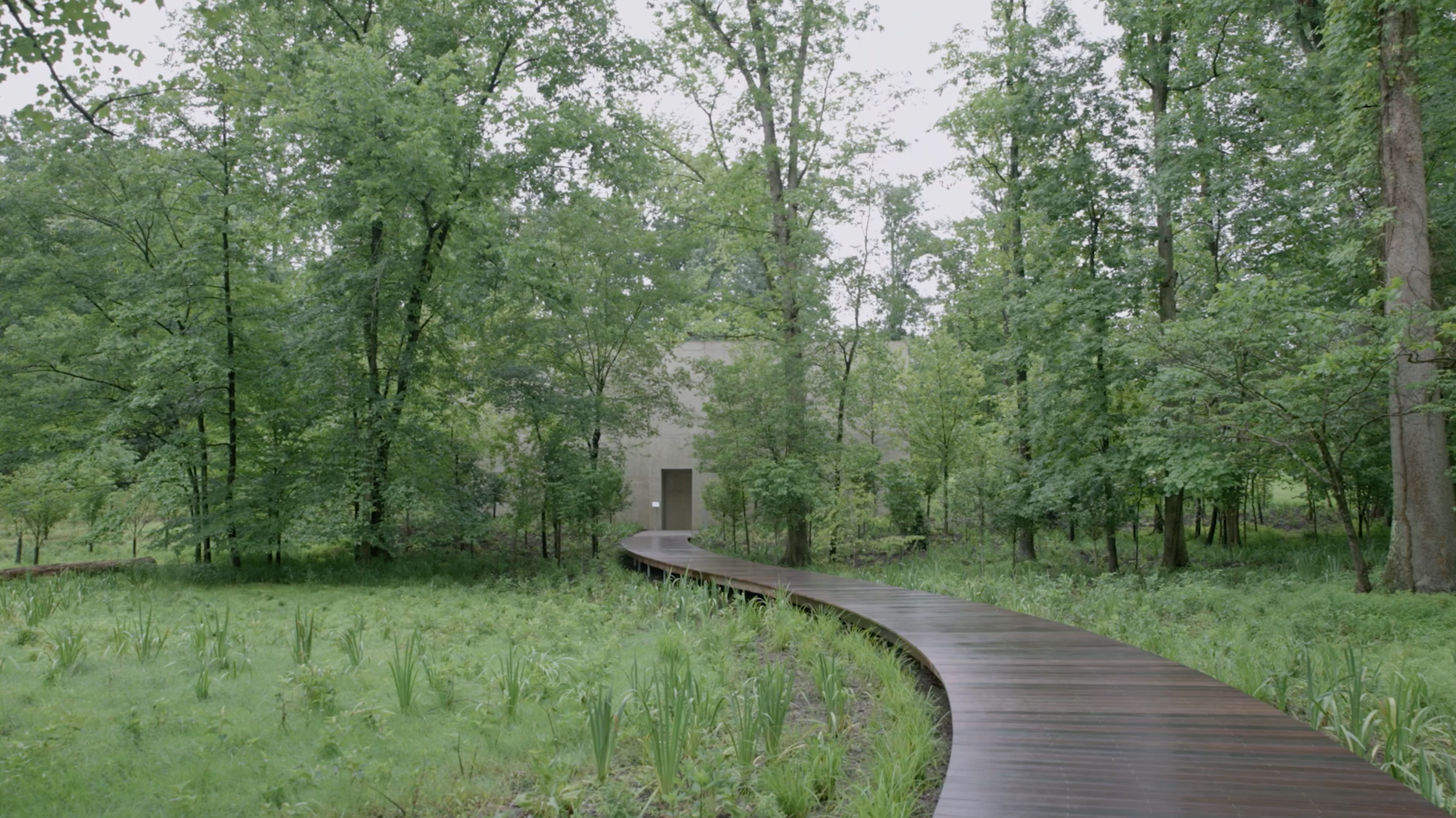 Richard Serra documentary