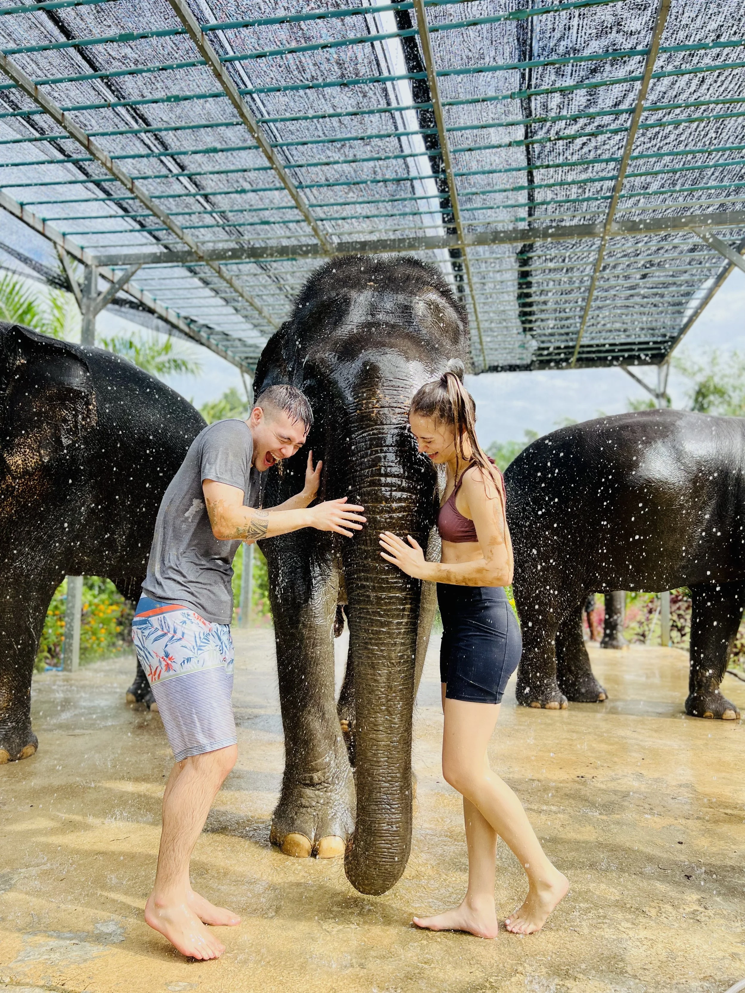 Two people, a man and a woman, are playing with elephants under a shelter while water is splashing around. They are both smiling and appear to be having fun.