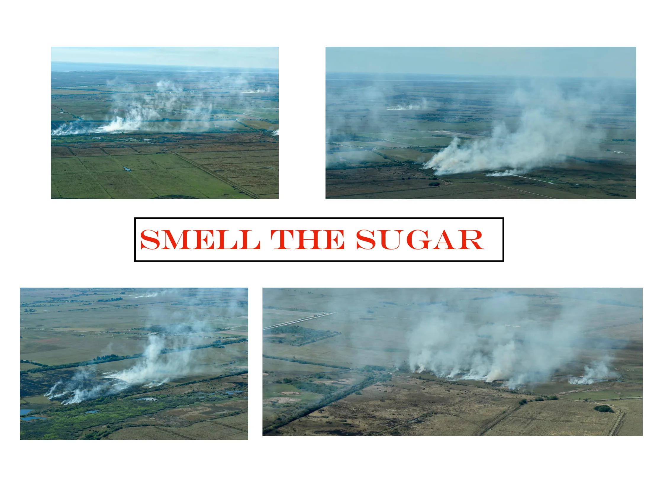 SMELL THE SUGAR PDF-1.jpg