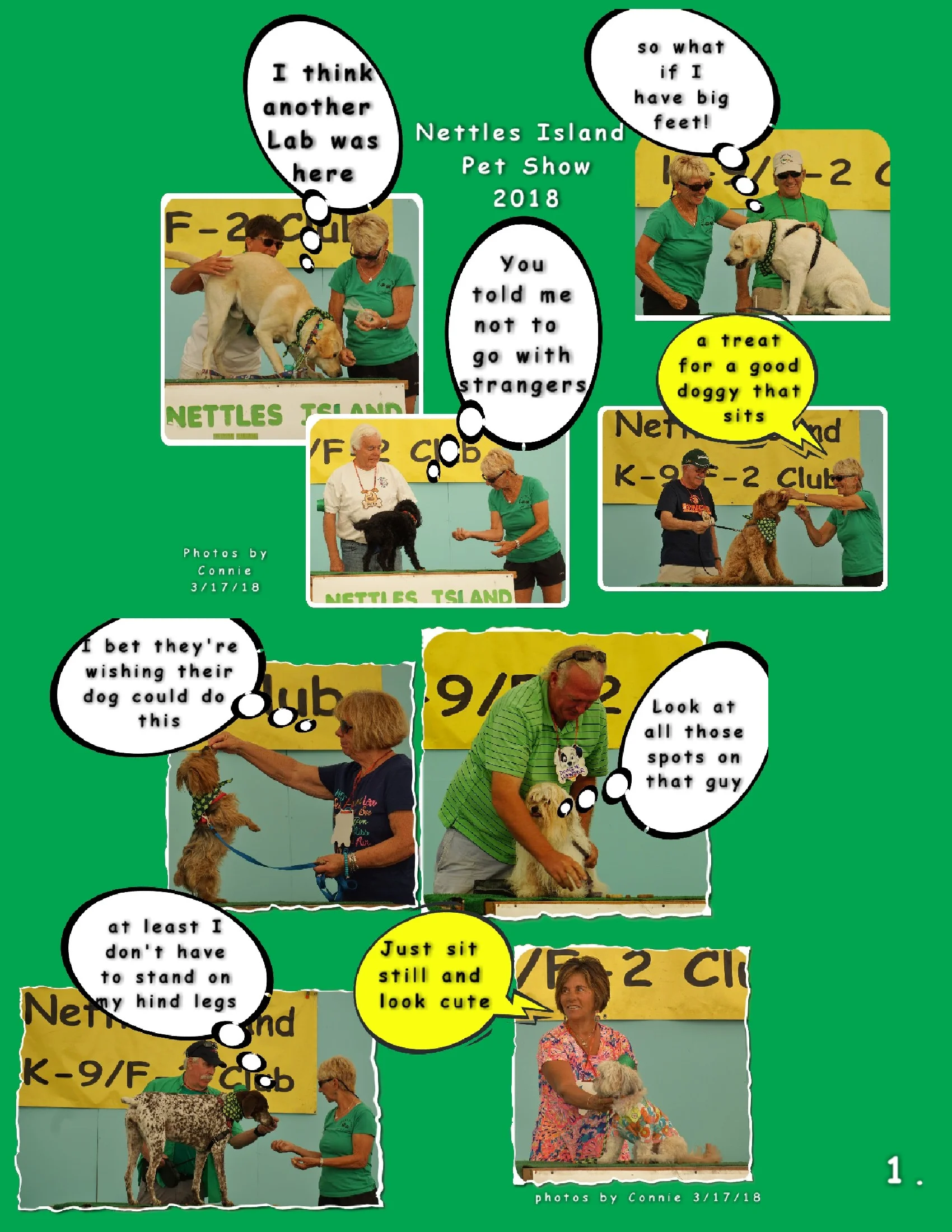 2018 NI dog show 3  17 #1-2-.JPG