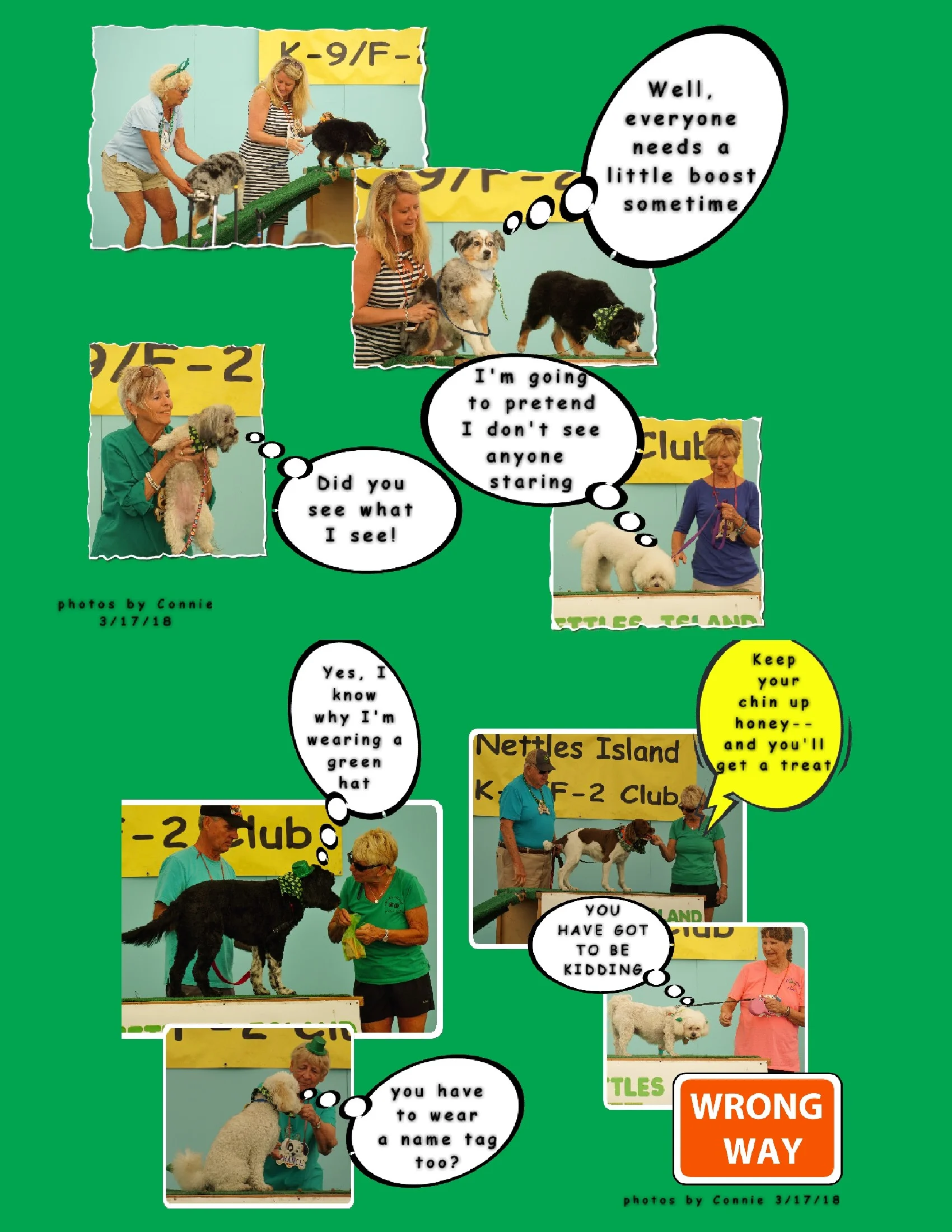 2018 NI dog show 3  17 #5-6.JPG