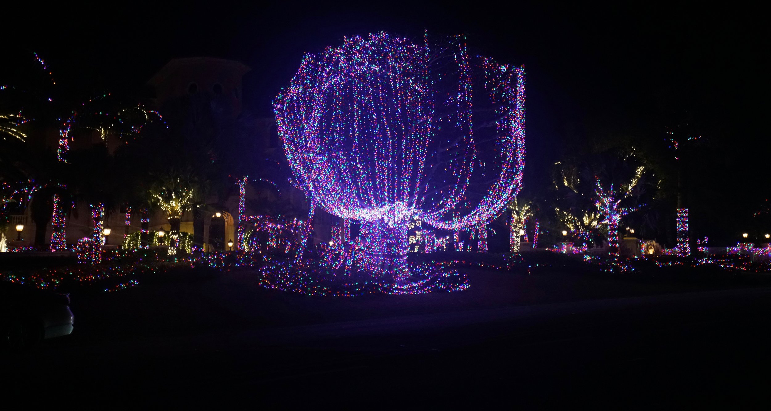 DSC01193.jpeg