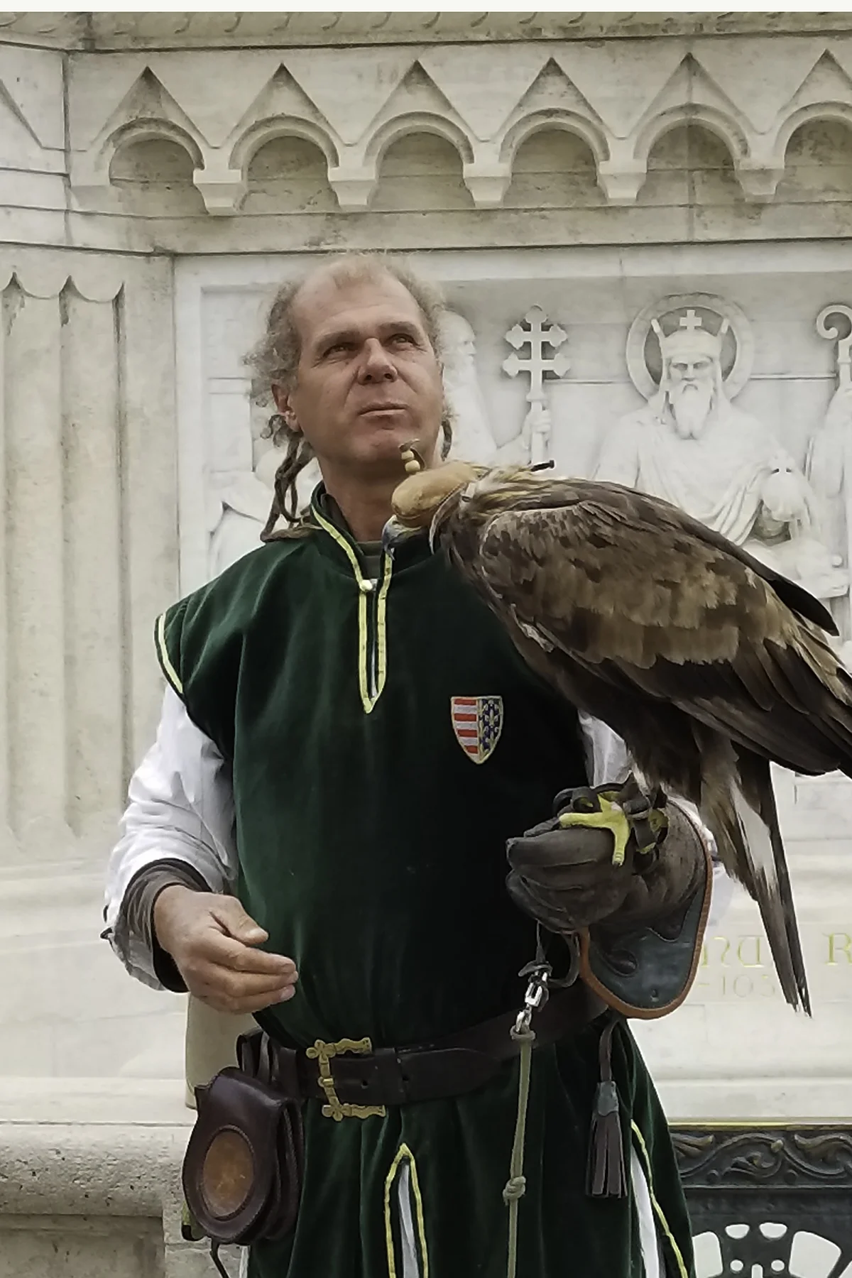 Budapest Falcon.jpg