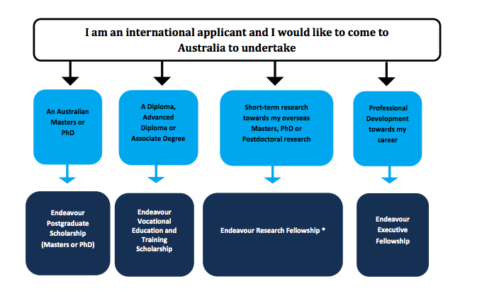 What Scholarships and Fellowships are available